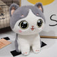 Cuddly Cat Plush Toys | Kawaii Plush | Aesthetic Plush