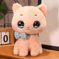 Cute Cat Plush Toy | Kitty Doll | Kawaii Plush