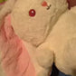Kawaii Fruit Bunny Plush Toy | Kids Gift | Kawaii Plush