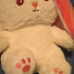 Kawaii Fruit Bunny Plush Toy | Kids Gift | Kawaii Plush