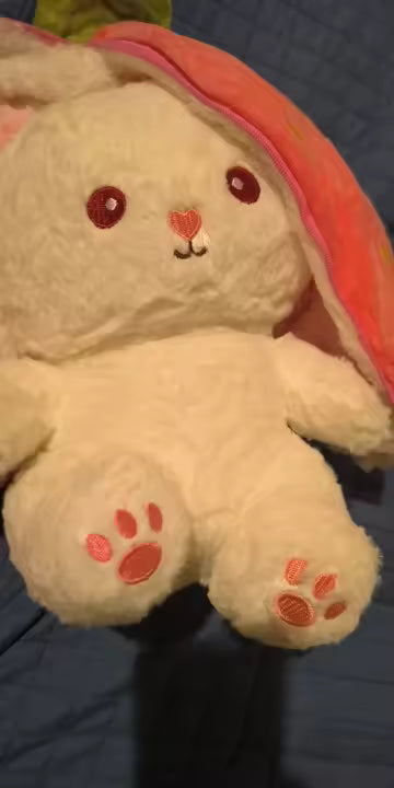 Kawaii Fruit Bunny Plush Toy | Kids Gift | Kawaii Plush