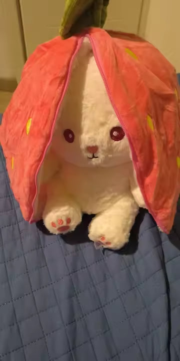 Kawaii Fruit Bunny Plush Toy | Kids Gift | Kawaii Plush