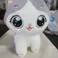 Cuddly Cat Plush Toys | Kawaii Plush | Aesthetic Plush