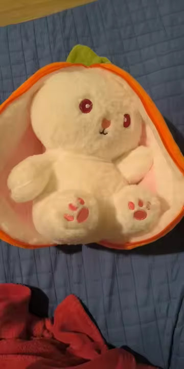 Kawaii Fruit Bunny Plush Toy | Kids Gift | Kawaii Plush